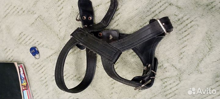 Шлейка для собаки