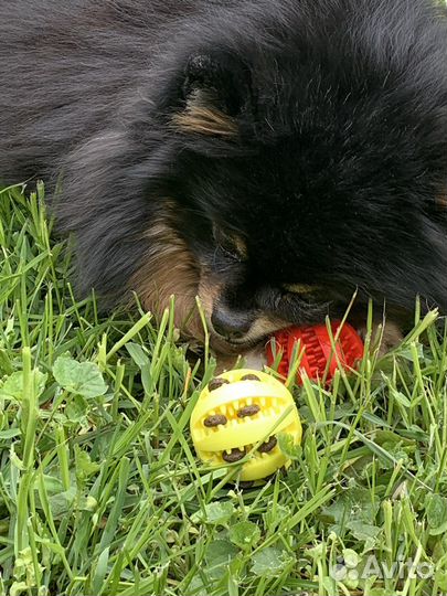 Мяч,игрушка для собак и кошек,животных