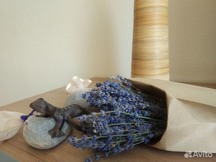 Лаванда сухоцвет 2023