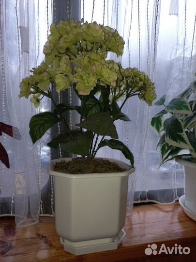 Цветы для декора