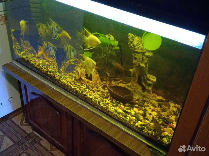 Аквариум 200 л