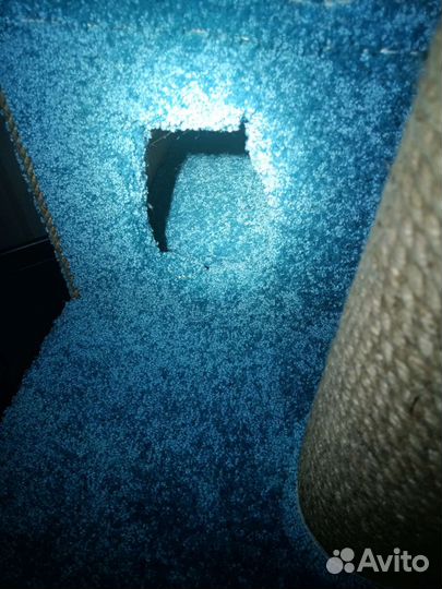 Дом когтеточка