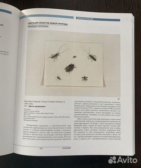 Каталог выставки «Не верь глазам своим.Обманки в и