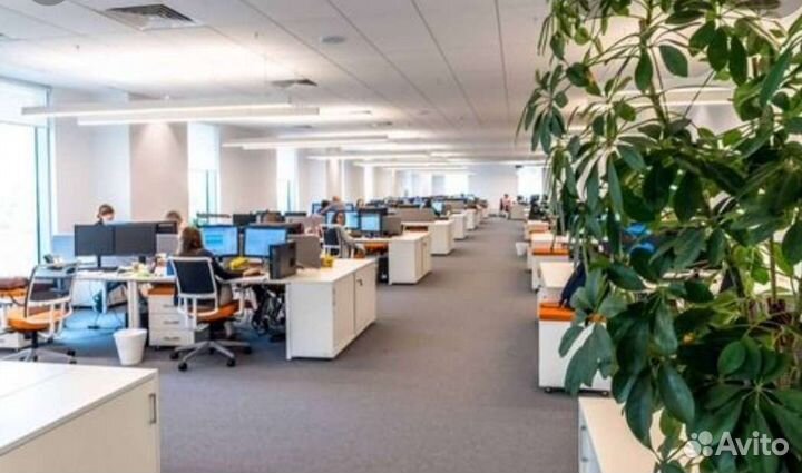 Дежурный оператор