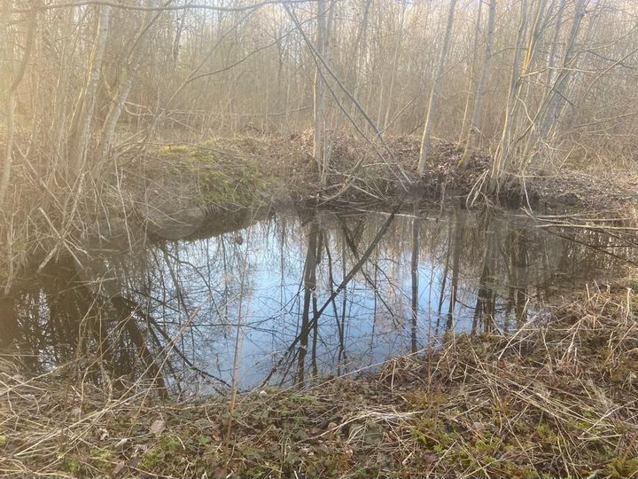 Участок 12 сот. (ИЖС)