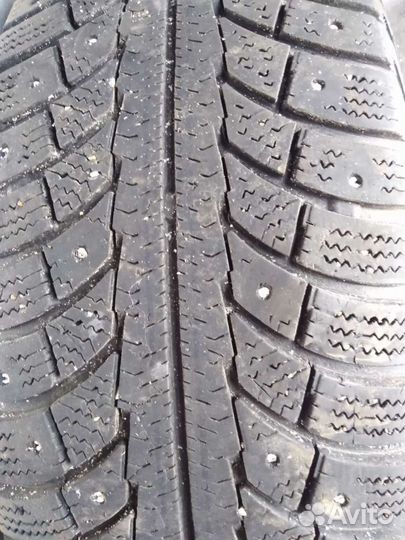 Gislaved Nord Frost 5 195/65 R15