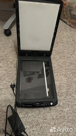 Сканер epson 3590