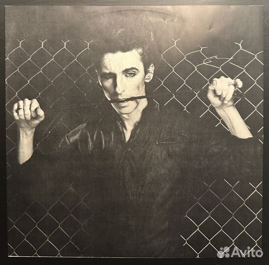 Alice Cooper – Flush The Fashion (Германия 1980г.)