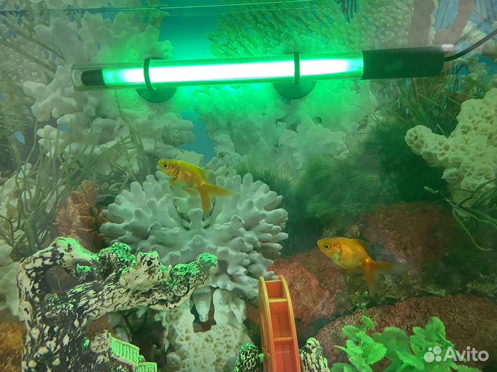 Аквариум с рыбками