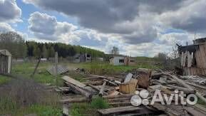 Бесплатные дрова