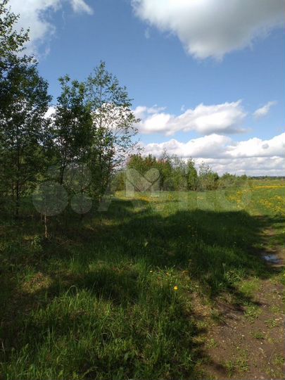 Участок 2,13 га (СНТ, ДНП)