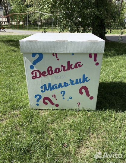 Коробка на гендер pati