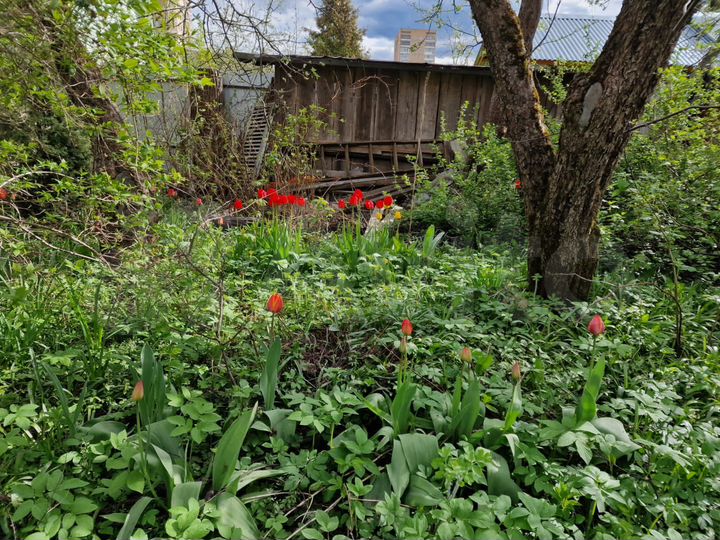 Участок 10,4 сот. (ИЖС)