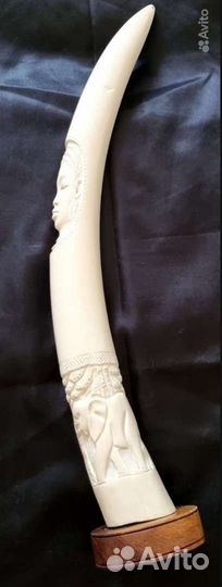 Натуральный бивень. Африка