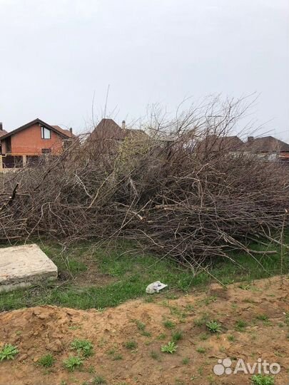 Щепорез/Измельчитель веток/Дробилка