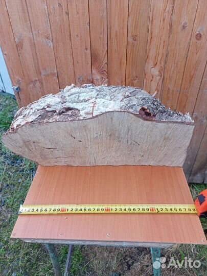 Кап березовый. Спилен год назад