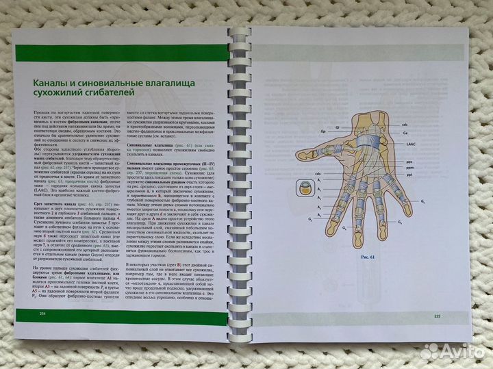 А. И. Капанджи «Физиология суставов» в 3х томах