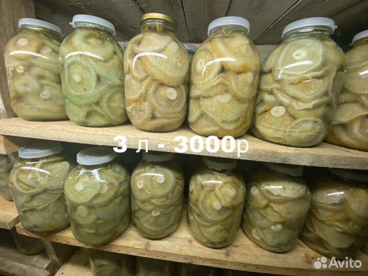 Грибы грузди соленые