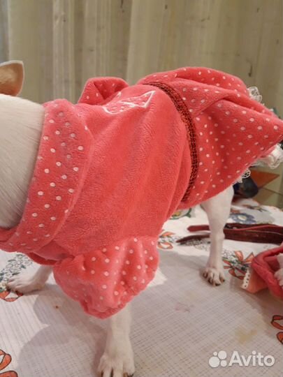 Одежда для маленьких собак