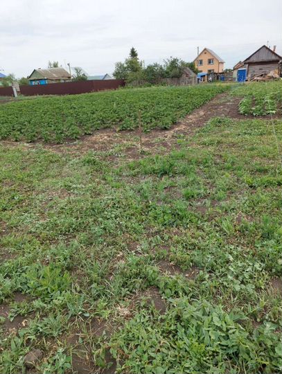 Участок 13 сот. (ИЖС)