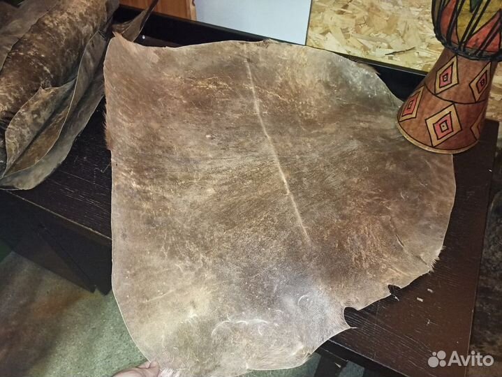 Небольшая кожа африканской козы для джембе