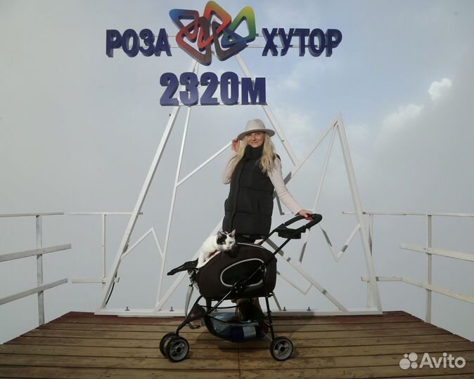 Перевозка животных за границу - консультация