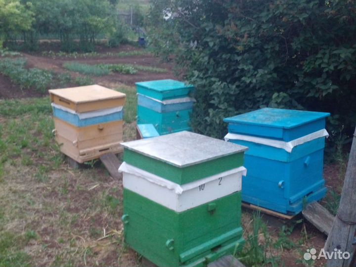 Улей для пчел бу