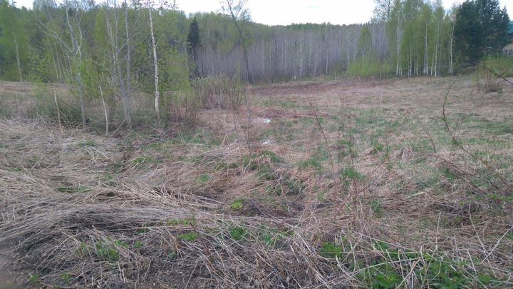 Участок 6 сот. (СНТ, ДНП)