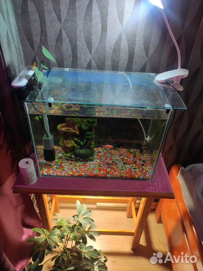 Аквариум