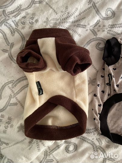 Вещи на кошку или собаку маленькой породы