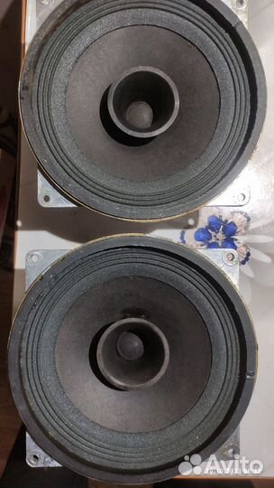 Динамики 10гд36к(10гдш1.4)