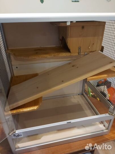 Витрина для шиншилл