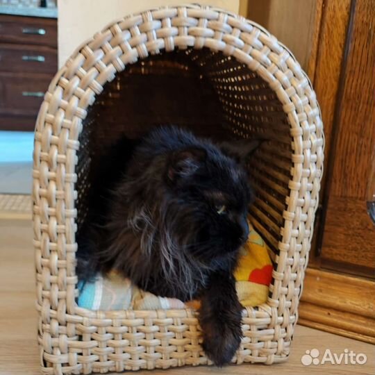 Домик лежанка для кошки и собаки