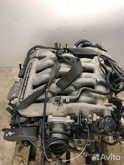 Двигатель Mazda Mpv 2 GY 1999