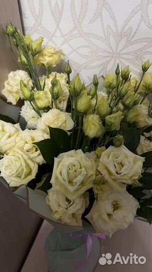 Цветы кустовые розы