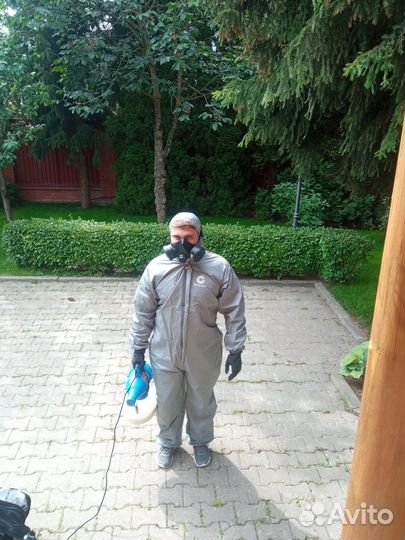 Дезинфекция дезинсекция клещей тараканов клопов