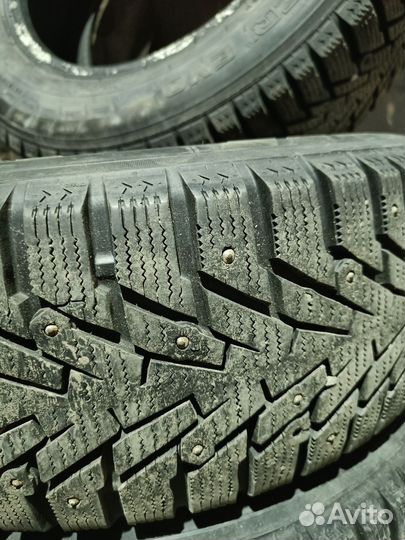 Amtel NordMaster Evo 195/65 R15