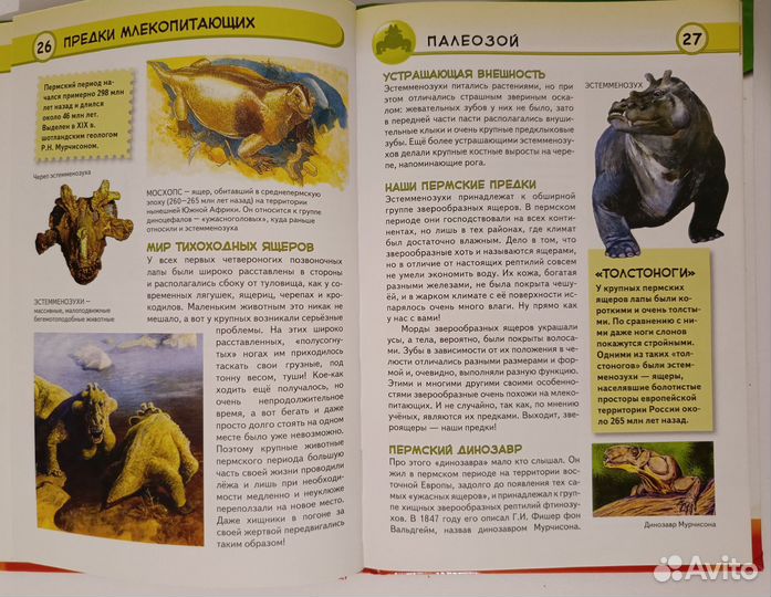 Вымершие животные - Энциклопедия