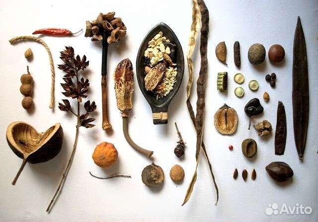 Семена лекарственных трав