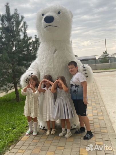 Белый мишка поздравление