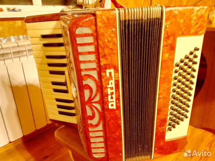 Аккордеон 1/2