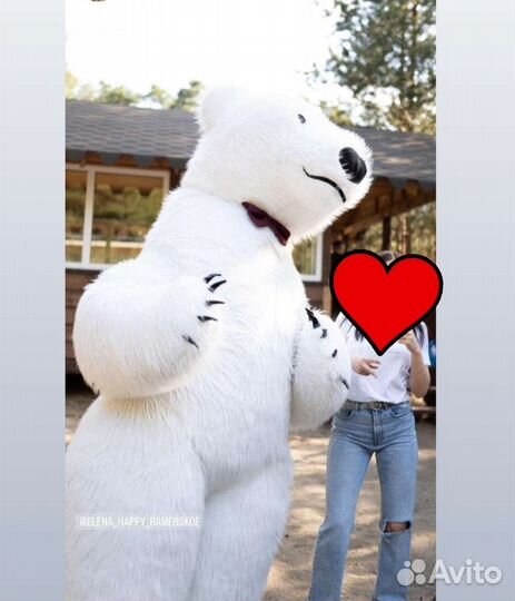 Поздравление от Мишки или его друзей