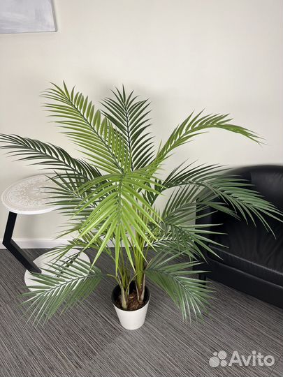 Искусственная пальма
