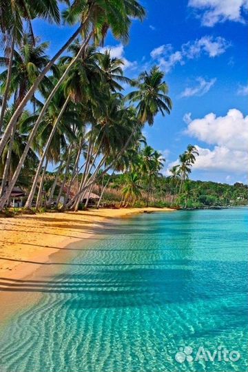 Горящие туры в Турцию, Египет и по России