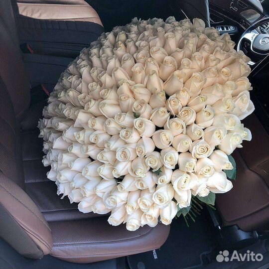 Роза свежий срез