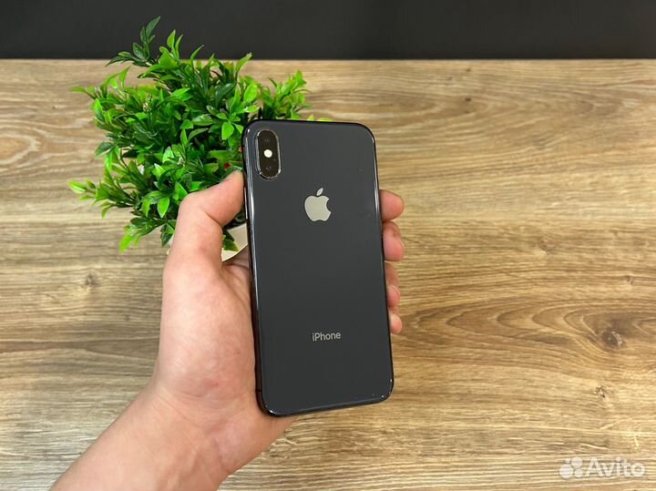iPhone X, 256 ГБ