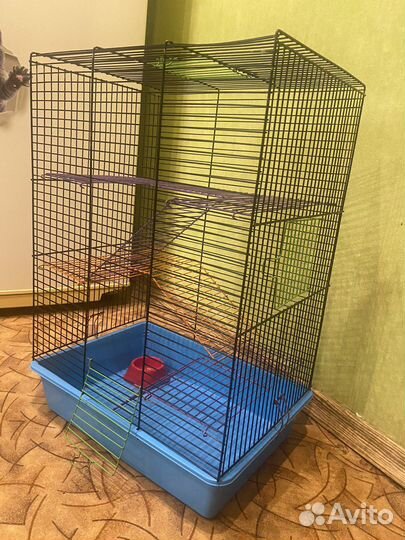 Большая летка для грызунов