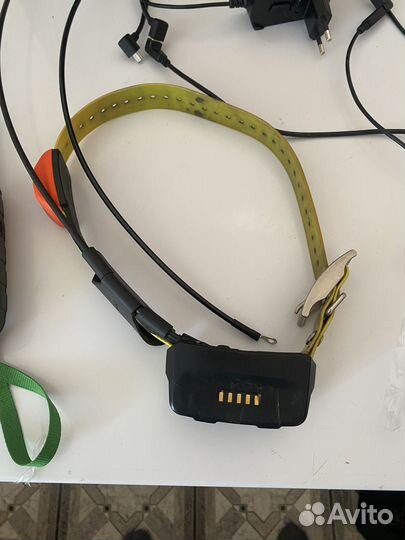 Навигатор garmin alpha 100 с ошейником t5