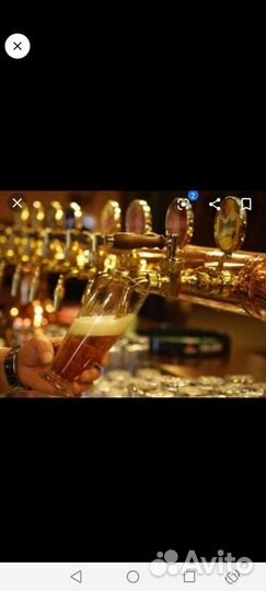 Продавец разливного пива с ежедневной оплатой