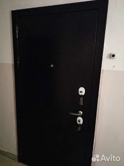 Двери межкомнатные металлические от производителя
